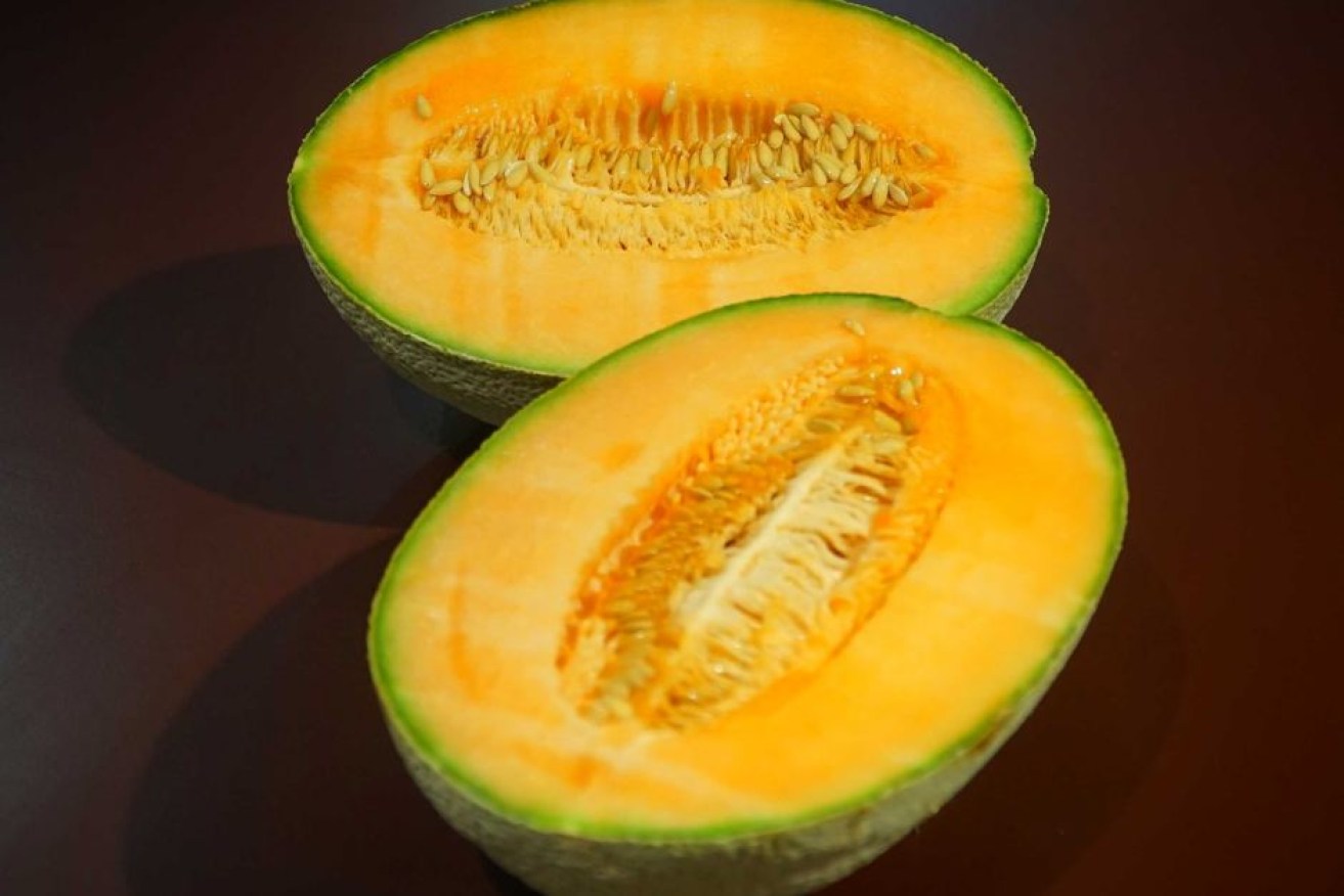 Off the menu: A rock melon .