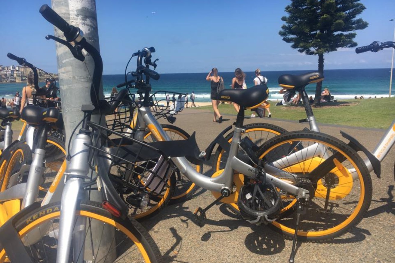Waverley Council has warned dockless bike operators their "polluting property" will be impounded.