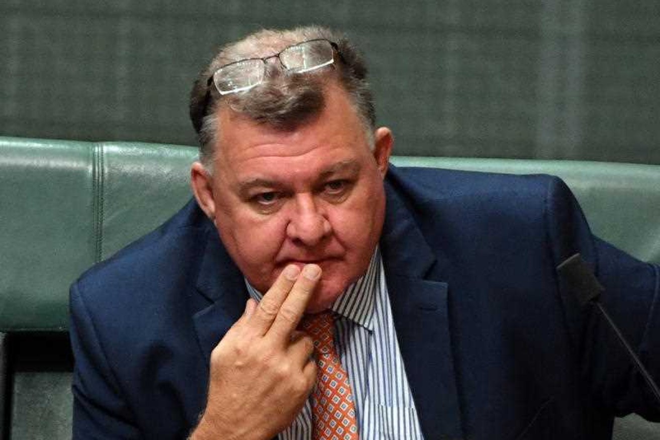Craig Kelly is among a group of Liberal MPs warning against the “demonisation” of coal.