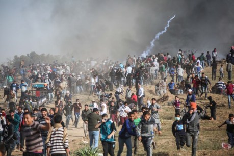 Seven Palestinians killed by Israeli gunfire at Gaza border