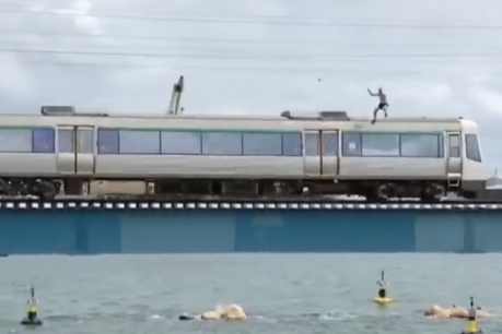 Officials seek train surfer who jumped into river