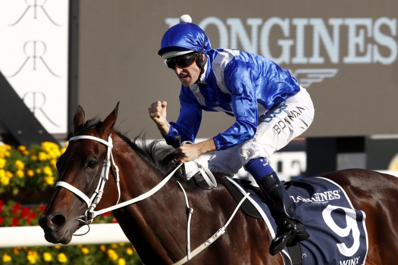 Melbourne journalist Andrew Rule has penned a biography of superstar racehorse Winx. 
