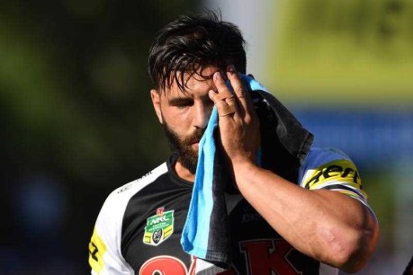 Penrith Panthers off to their best NRL start in 19 years – but injury curse strikes again