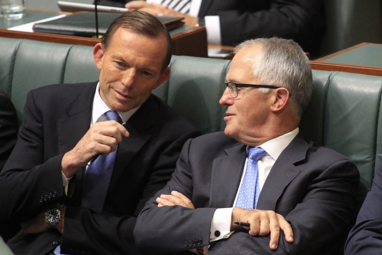 Mr Turnbull deposed Mr Abbott as PM in 2015.