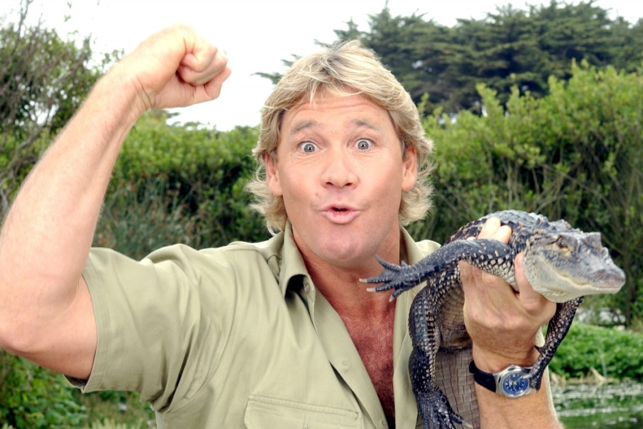 Steve Irwin will have a star dedicated to him on Hollywood's Walk of Fame.
