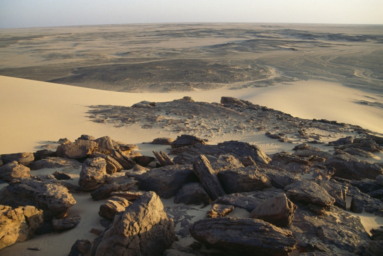 Sudan's Nubian Desert, where the asteroid landed in 2008.