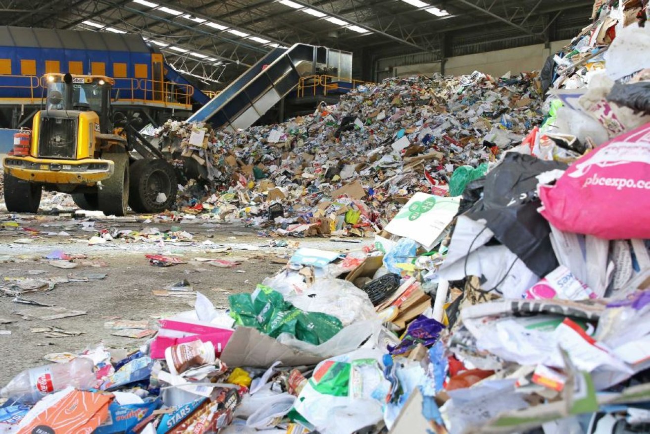 More than half the items placed in Ipswich yellow top bins has been unrecyclable waste.