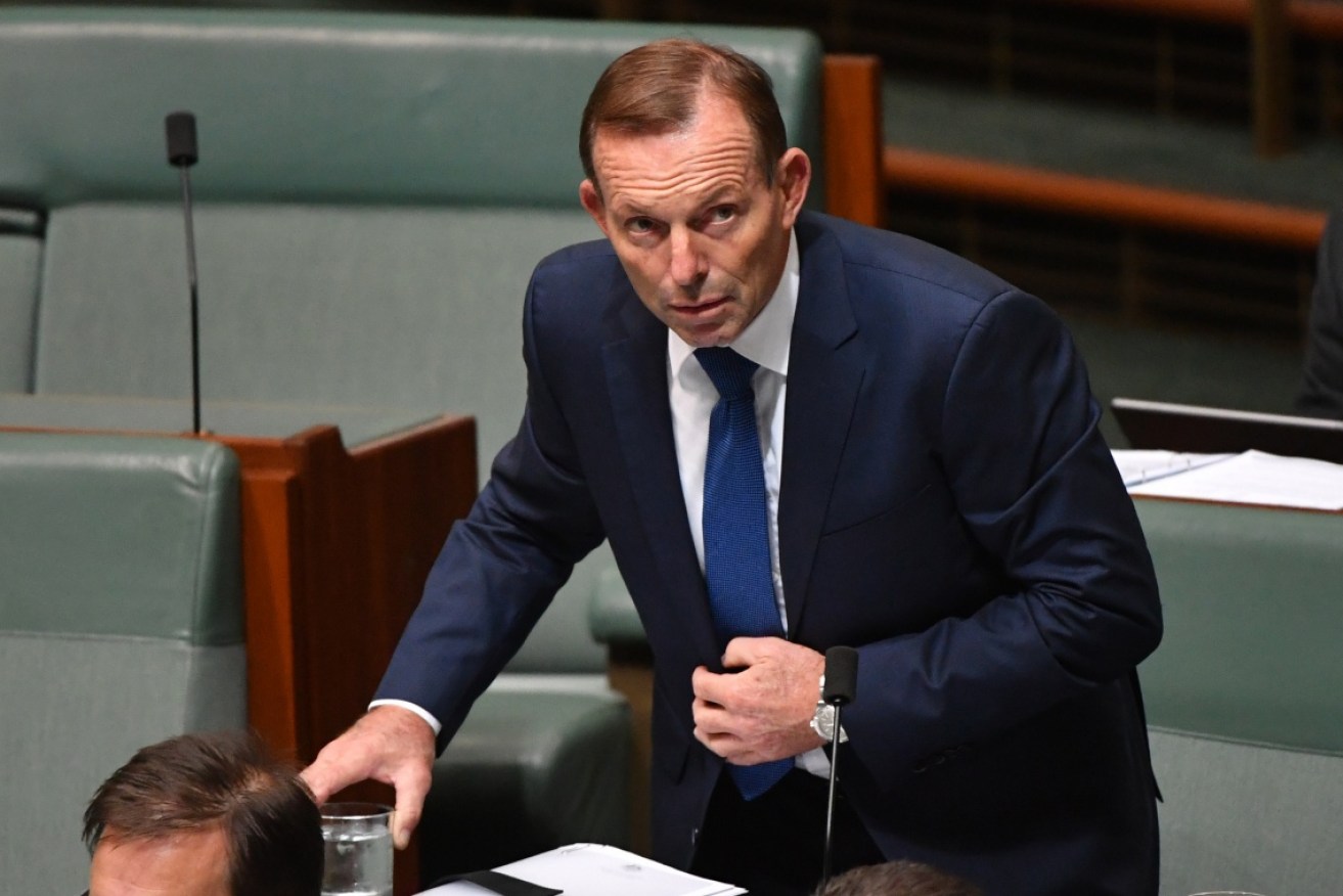Tony Abbott has blamed regulators for the AMP 'fee-for-no-service' scandal. 