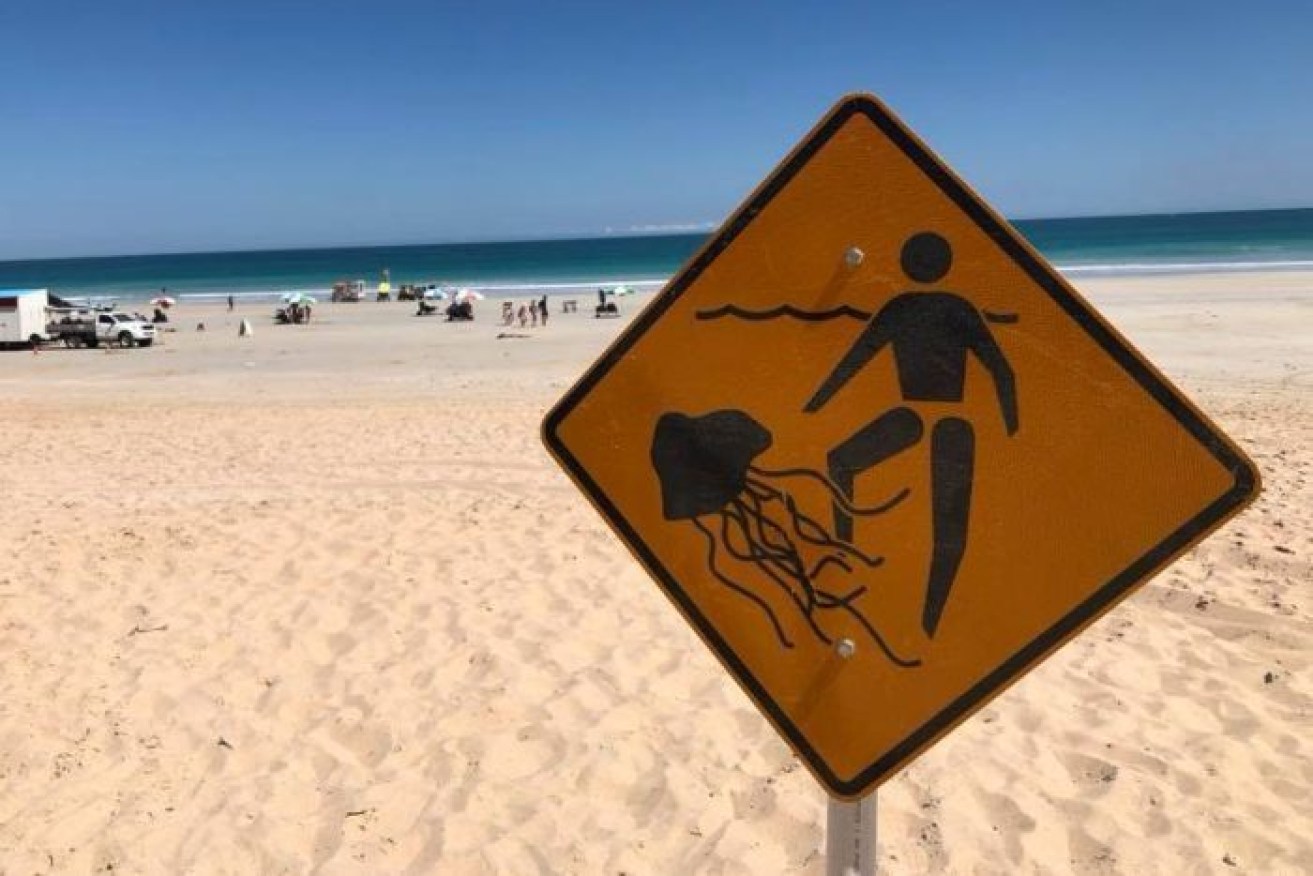 A jellyfish sting has closed Cable Beach. 