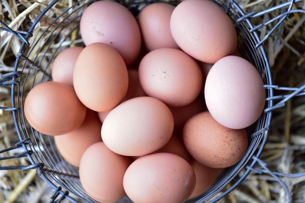 New freerange egg laws come into effect in Australian stores