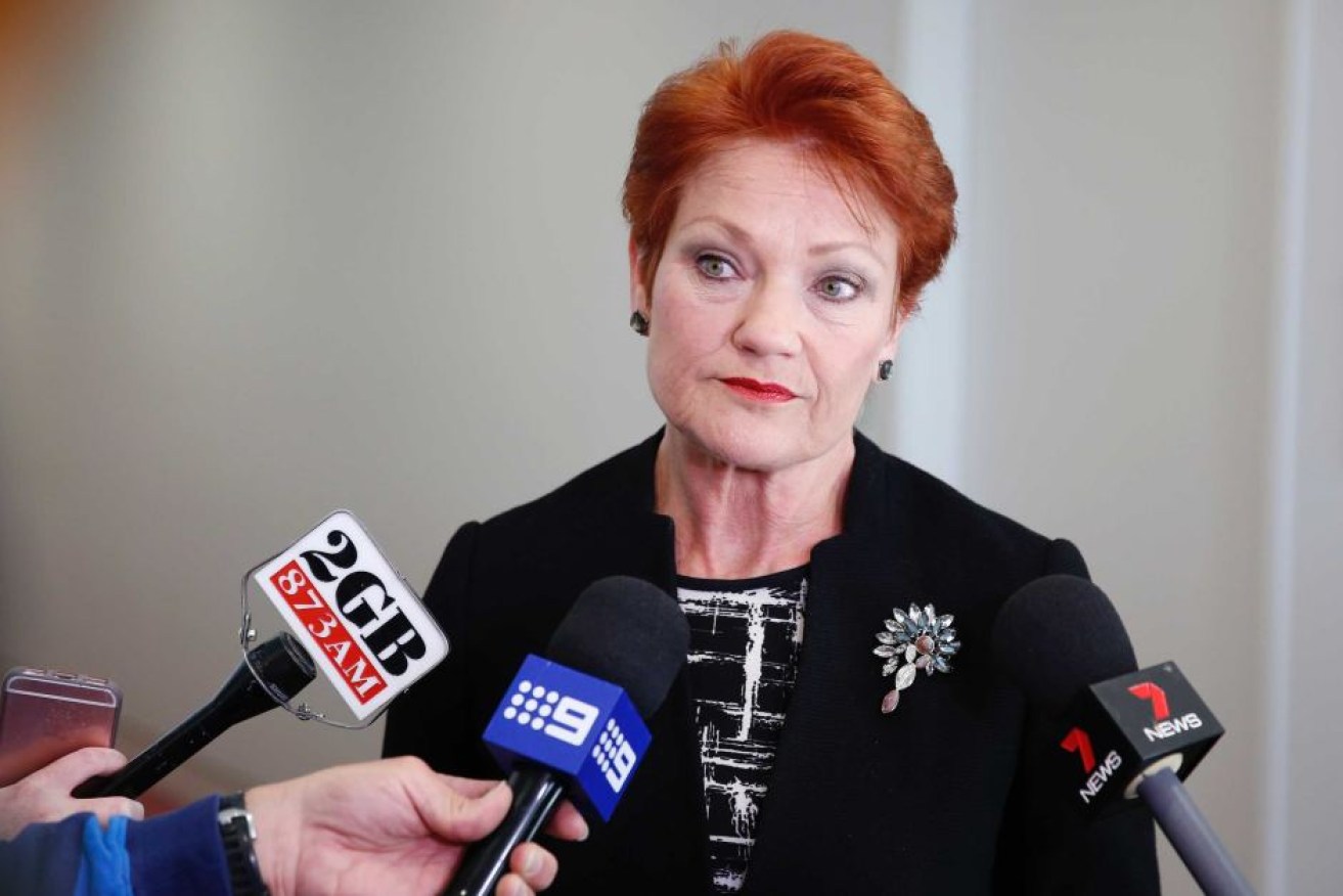 Senator Hanson said she was in favour of the survey until she saw it on social media sites across the world.