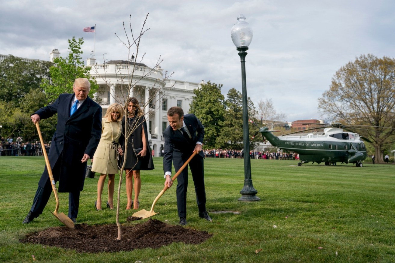 The oak tree planted by Donald Trump and Emmanuel Macron just over a year ago has died – and will not be replaced.