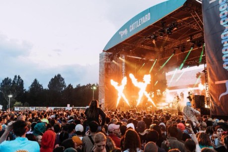 Groovin the Moo pill tests find lethal stimulant, paint and toothpaste in drugs
