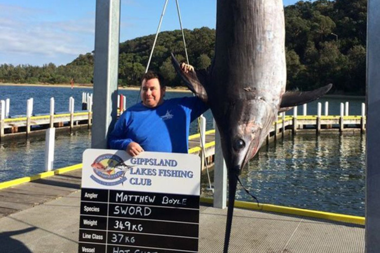 The sword fish caught at Lakes Entrance at the weekend weighed 349 kilograms.