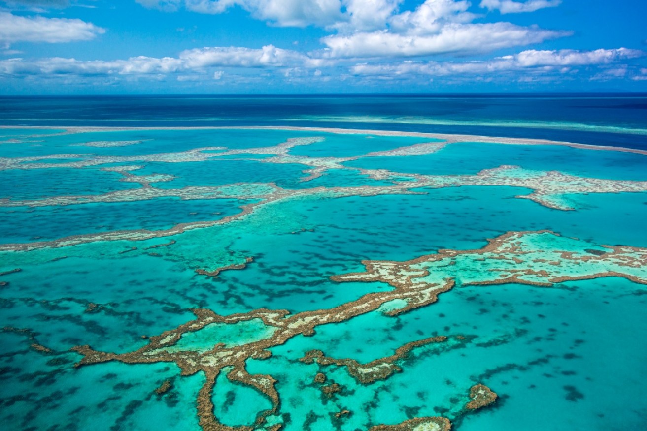 Australia's national treasure – the Great Barrier Reef.
