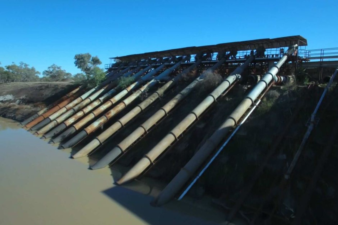 The Murray-Darling Basin Authority has recommended reducing environmental flows.