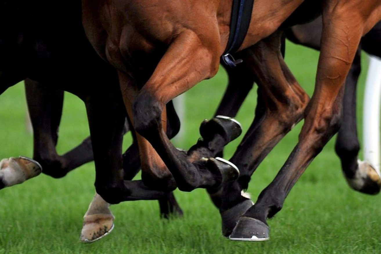 The Victorian racing industry has been scandalised by the revelations. 
