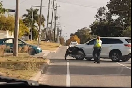 Dramatic footage of police car knocking over man