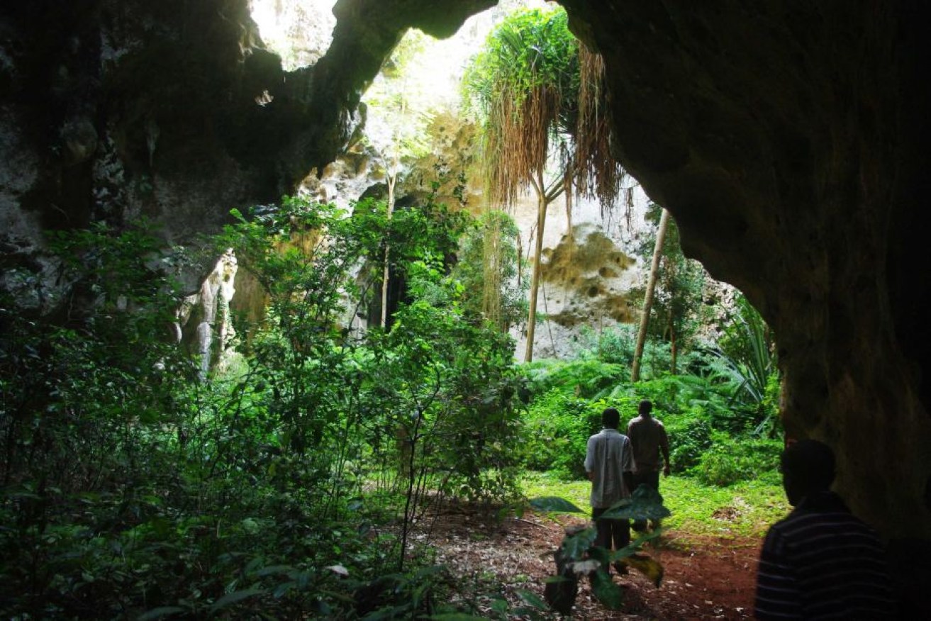 The Panga ya Saidi cave is where archaeologists have found a treasure trove of incredibly well preserved artefacts.