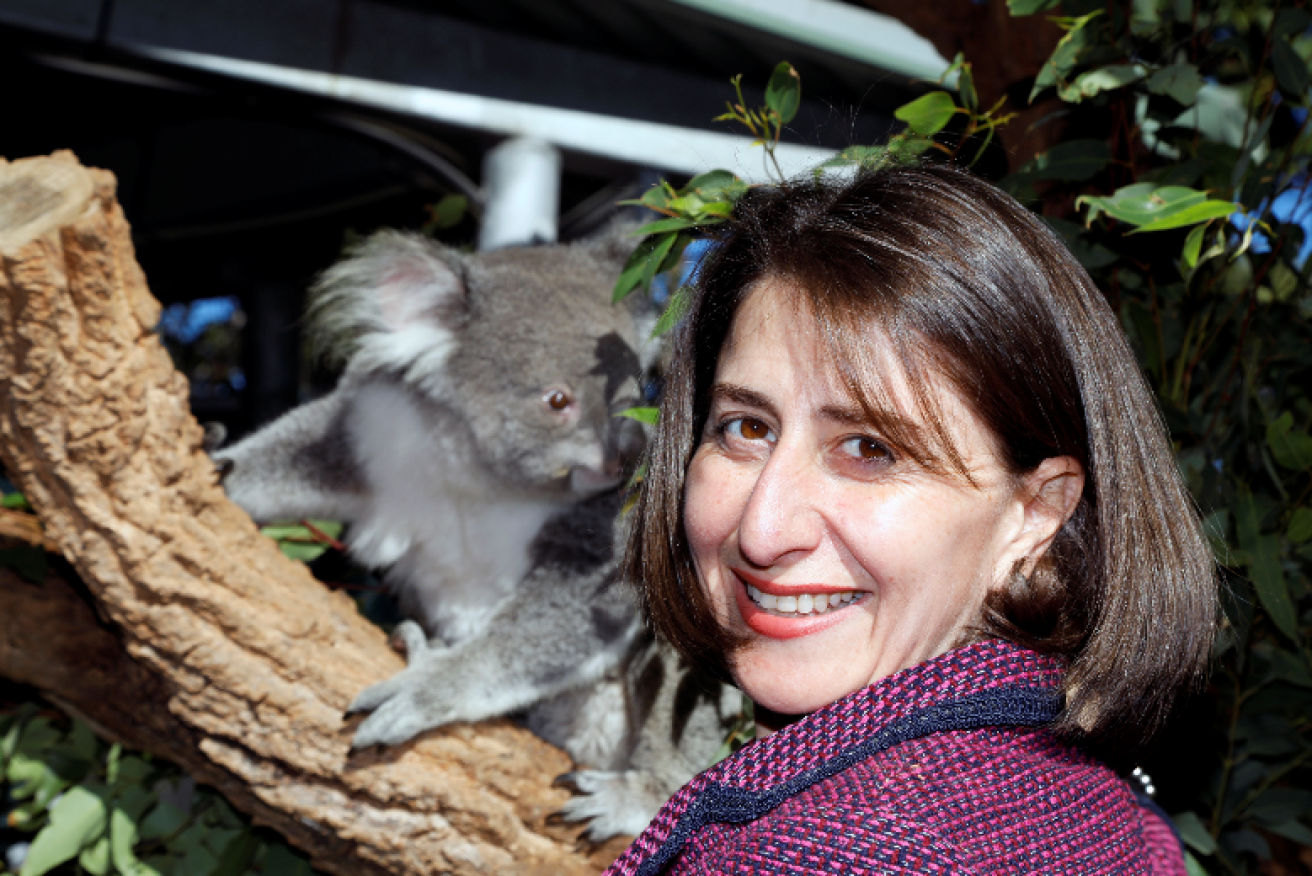 One is a meek and mild creature lacking even an ounce of fight. The other is a koala.
