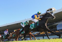 Premier blasts ICAC 'rumours' over turf club