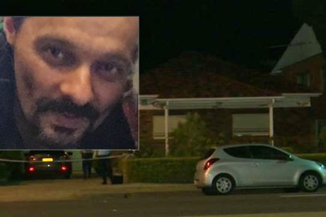Sydney man dies in alleged domestic violence incident