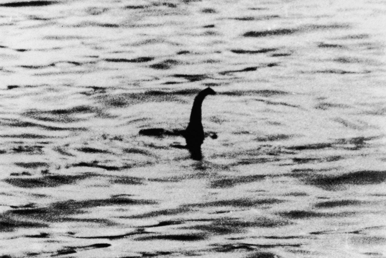 Scientists using DNA technology believe the legend of Nessie may have been started after seeing giant eels.  