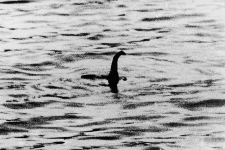 Scientists say Loch Ness monster may have been a giant eel