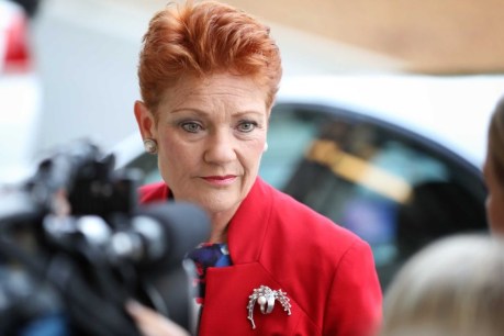 Hanson hints at her price for supporting company tax cuts