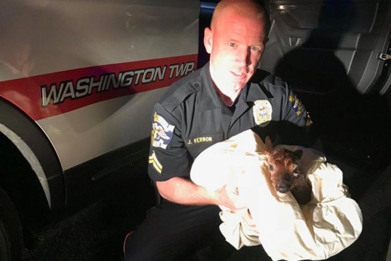 Officer Vernon who saved the fawn after its mother was killed in a road accident.