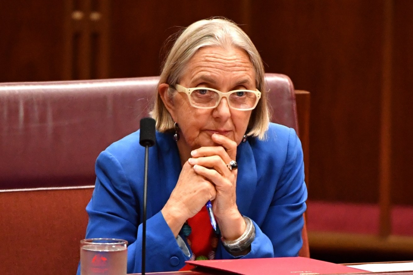Greens senator Lee Rhiannon will step down from parliament in August.