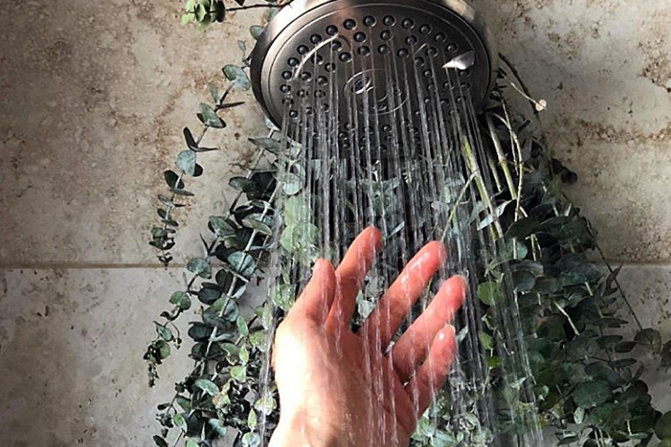 Eucalyptus showers are the latest trend.