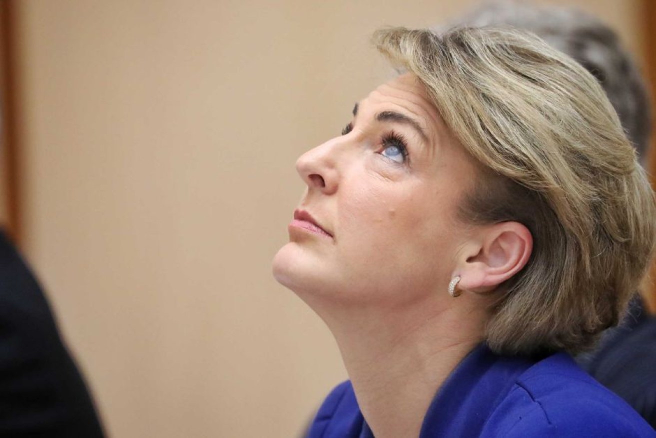 Michaelia Cash said one of her staffers resigned after admitting he leaked information.