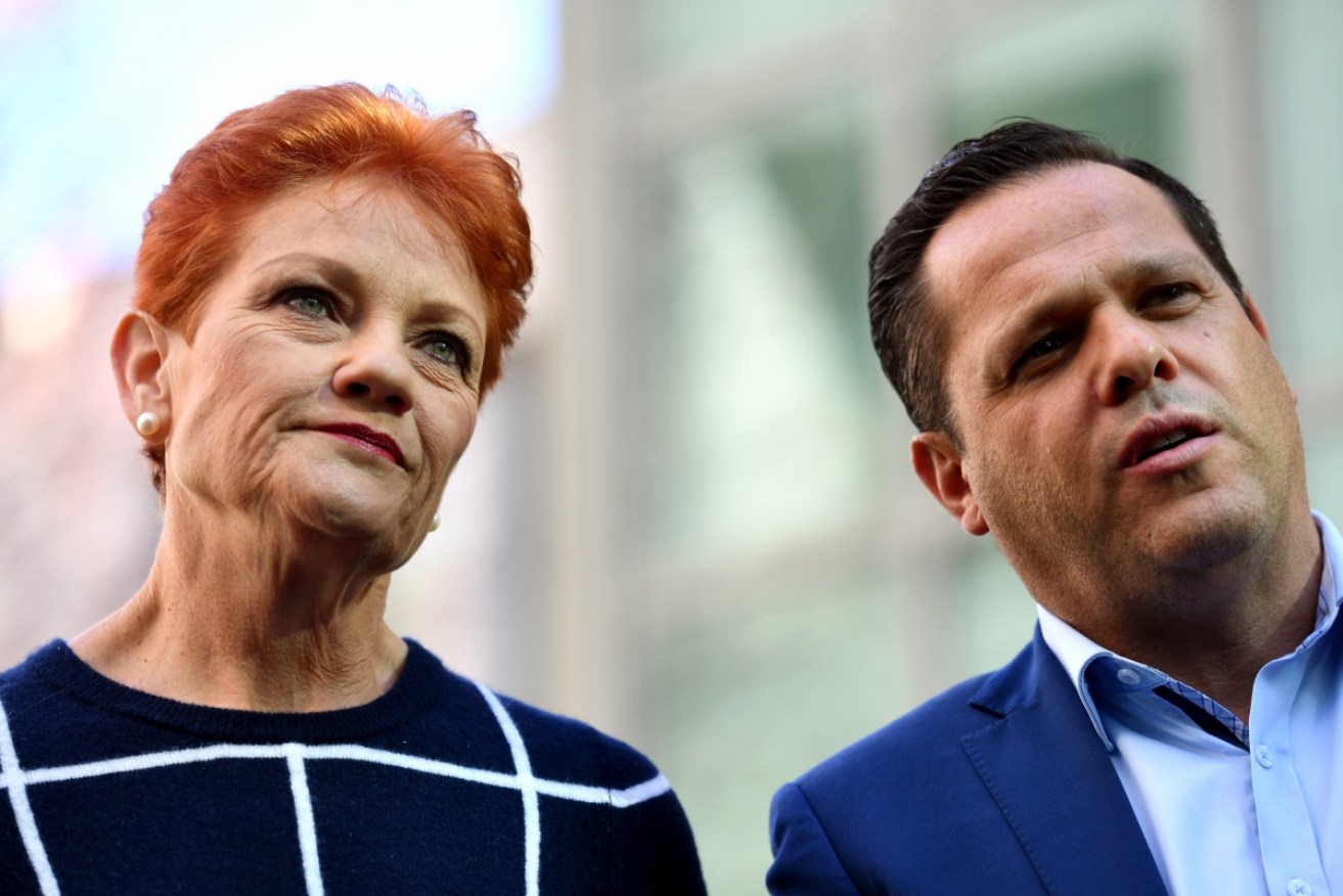 Pauline Hanson and Peter Georgiou appeared without their One Nation colleague Brian Burston on Thursday.