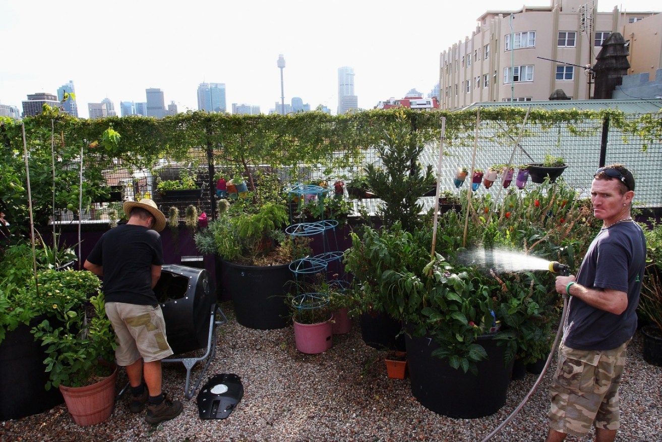 Rooftop gardens are a superb eco feature, but not a realistic option for most dwellings.