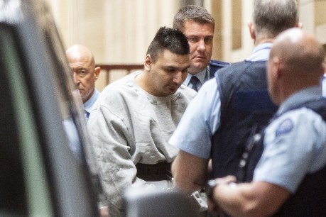 Bourke St killer was not &#8216;playing&#8217; cops