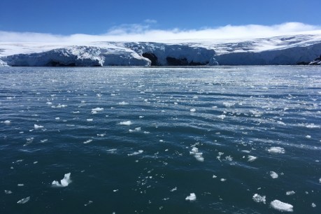 Antarctic thaw quickens, sea levels raised