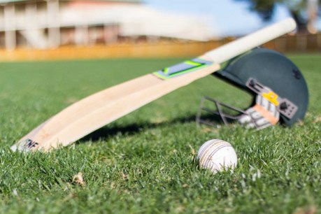 Pollies go in to bat for ABC to continue broadcasting cricket on the wireless