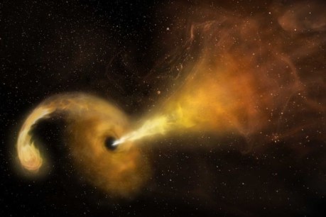 Black hole vs star: Astronomers record world first