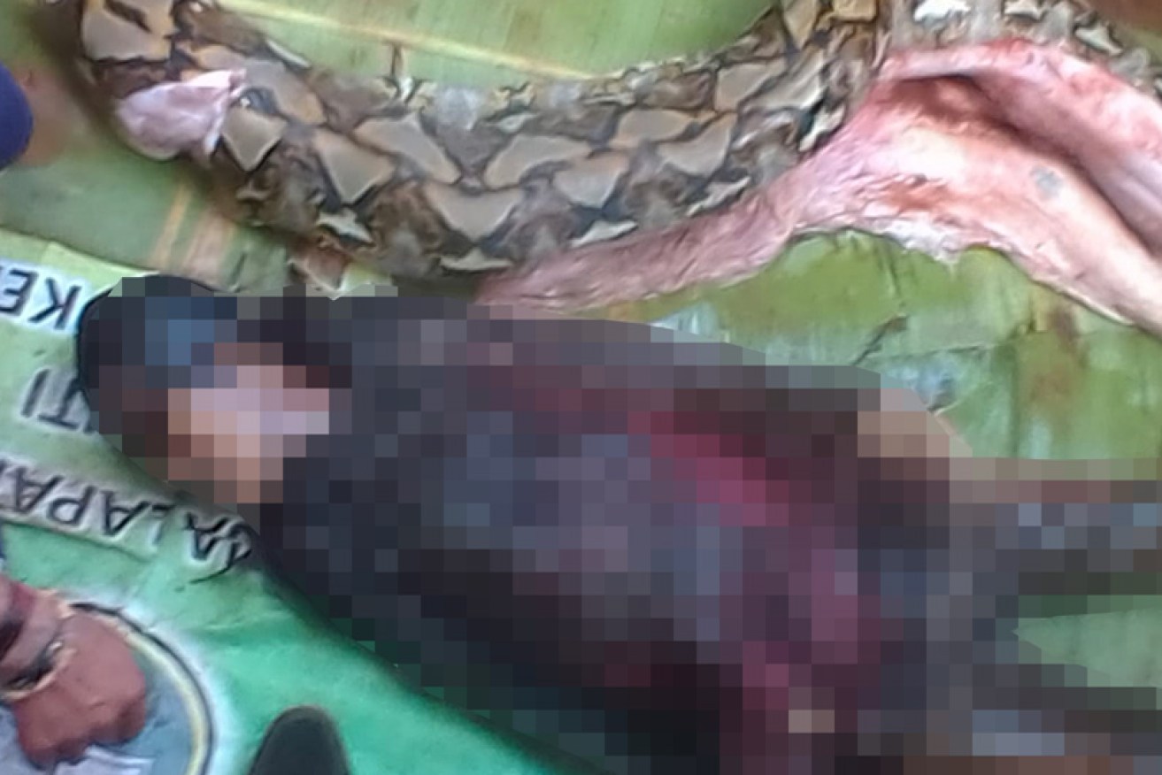The body of the 54-year-old was found inside the python's stomach by Indonesian villagers.