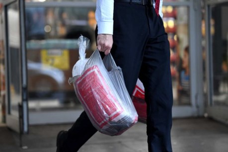 Plastic bags ban: Here&#8217;s how the alternatives stack up