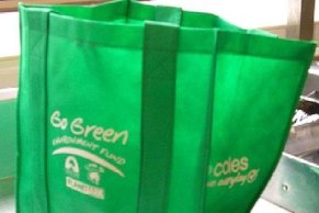 green-bags-shopping