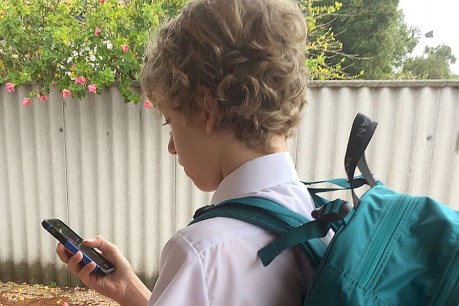 School smartphone ban an option, as NSW government launches review