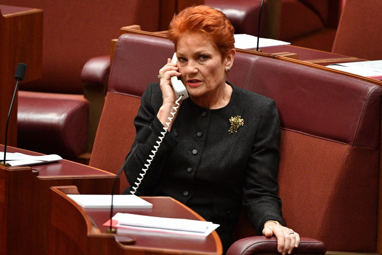 Pauline Hanson says she won't back the government's tax cut plan because she has not seen the draft legislation