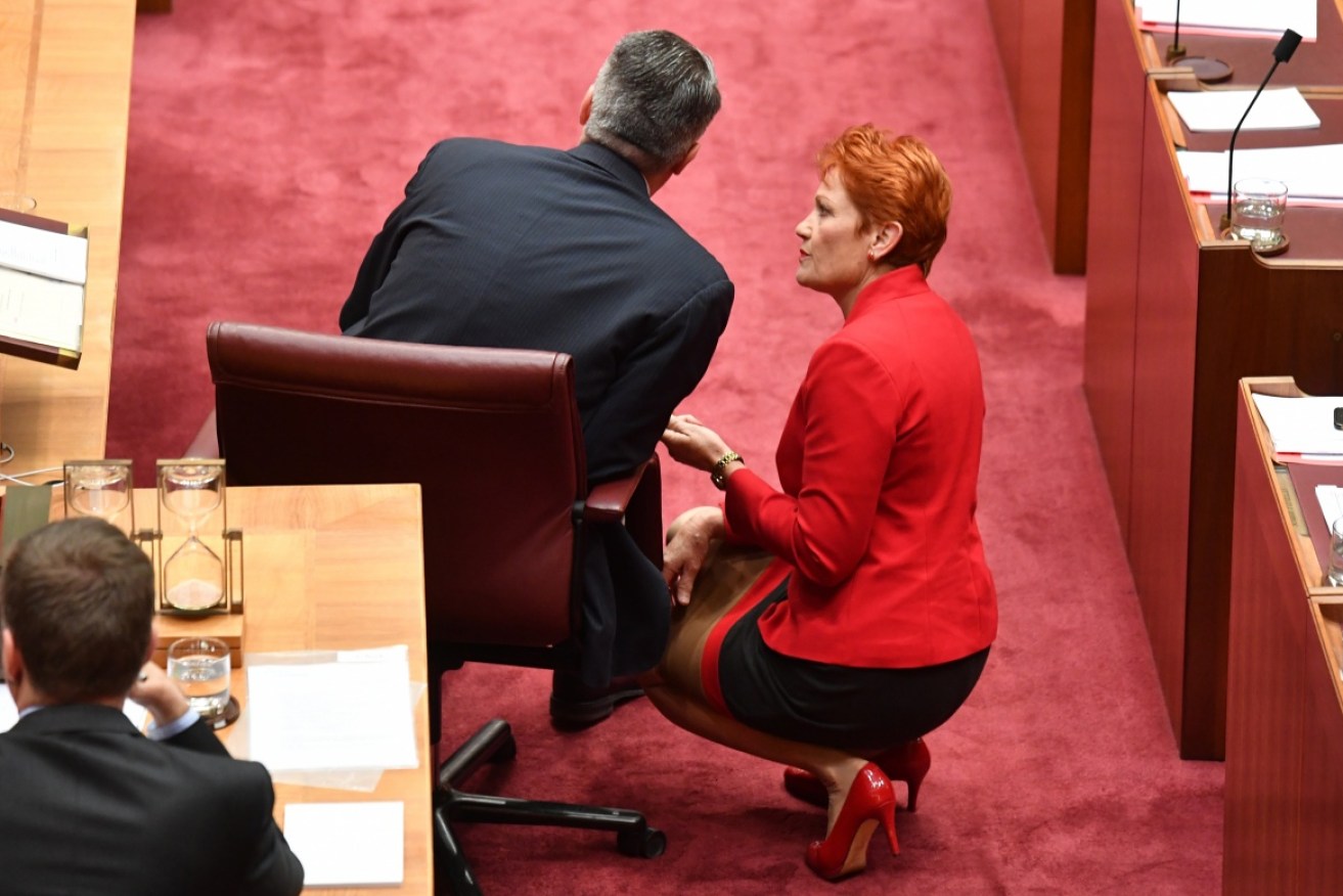 Mathias Cormann claims the government made an administrative error in voting for Pauline Hanson's 'OK to be white' motion. 