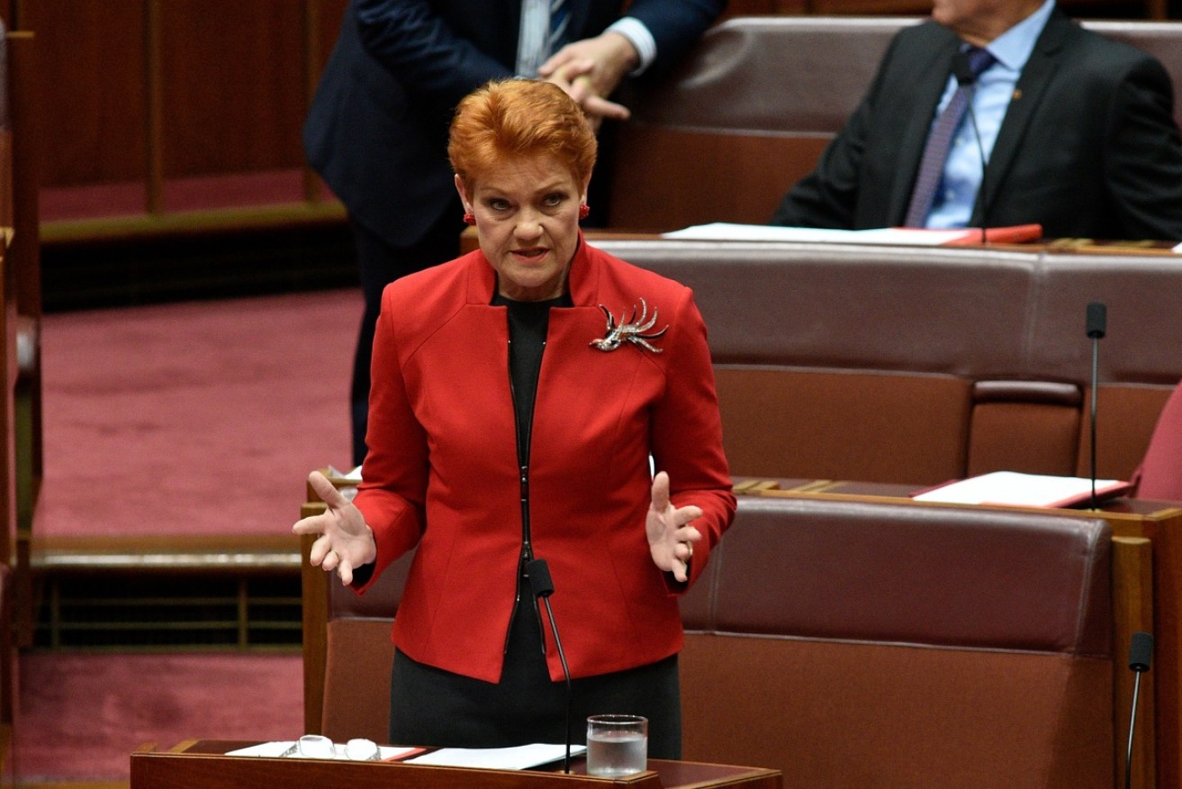 One Nation leader Pauline Hanson has asked that a debt cap be introduced. 