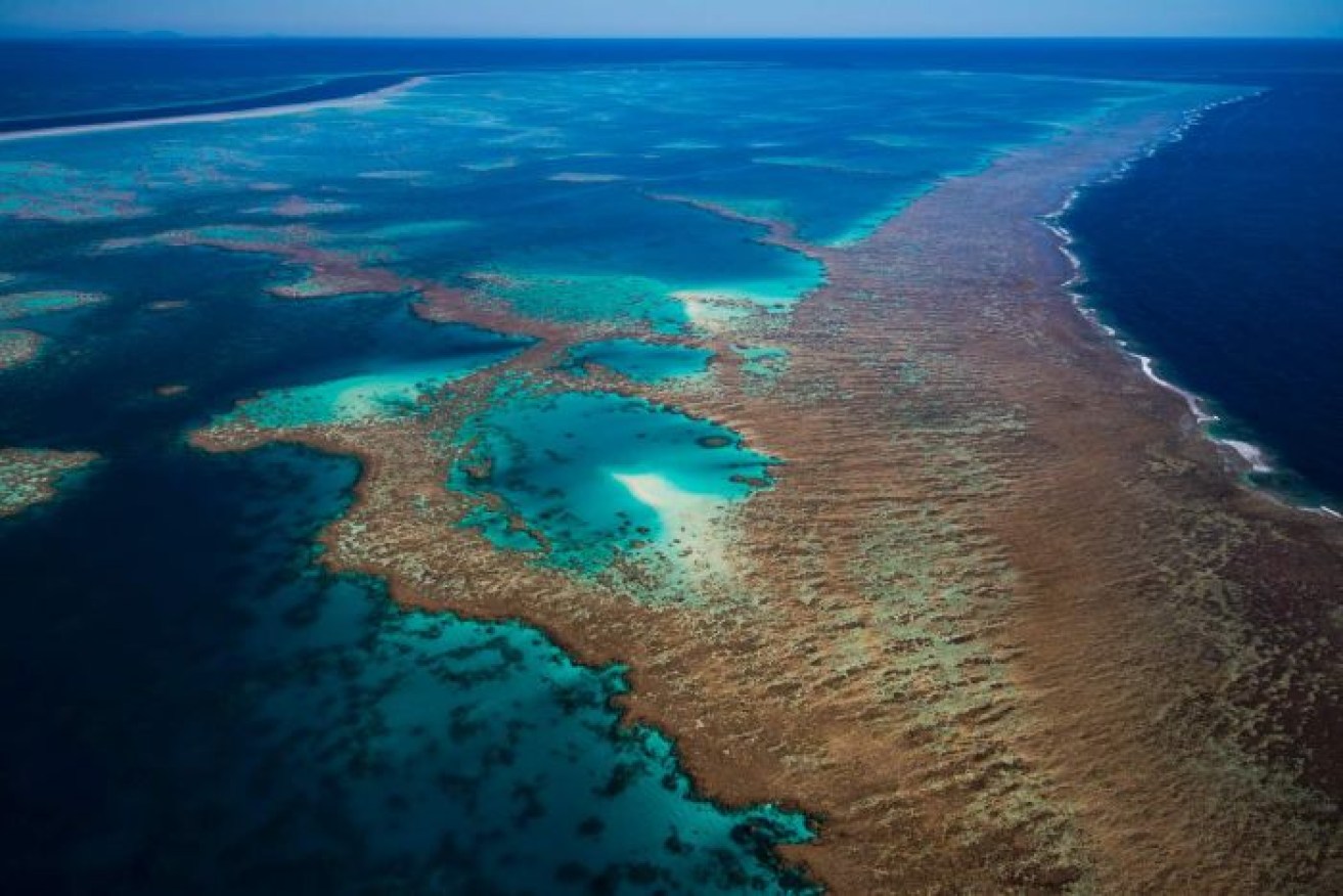 The auditor-general's report says Reef 2050 targets won't be met if progress continues as it has.

