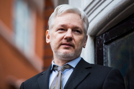 Julian Assange&#8217;s lawyer in no extradition plea