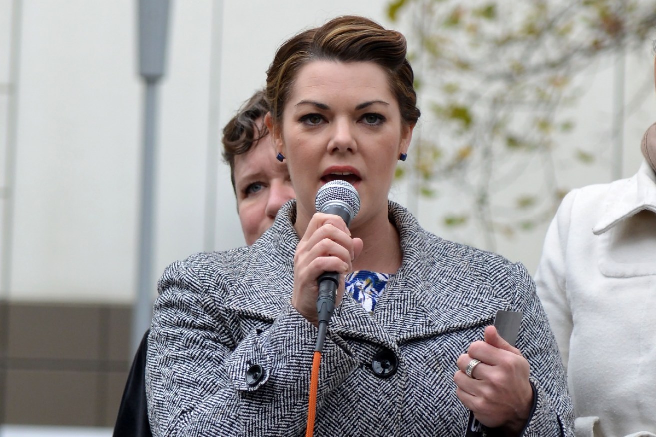 Sarah Hanson-Young says David Leyonhjelm should resign for his remarks about her personal life.
