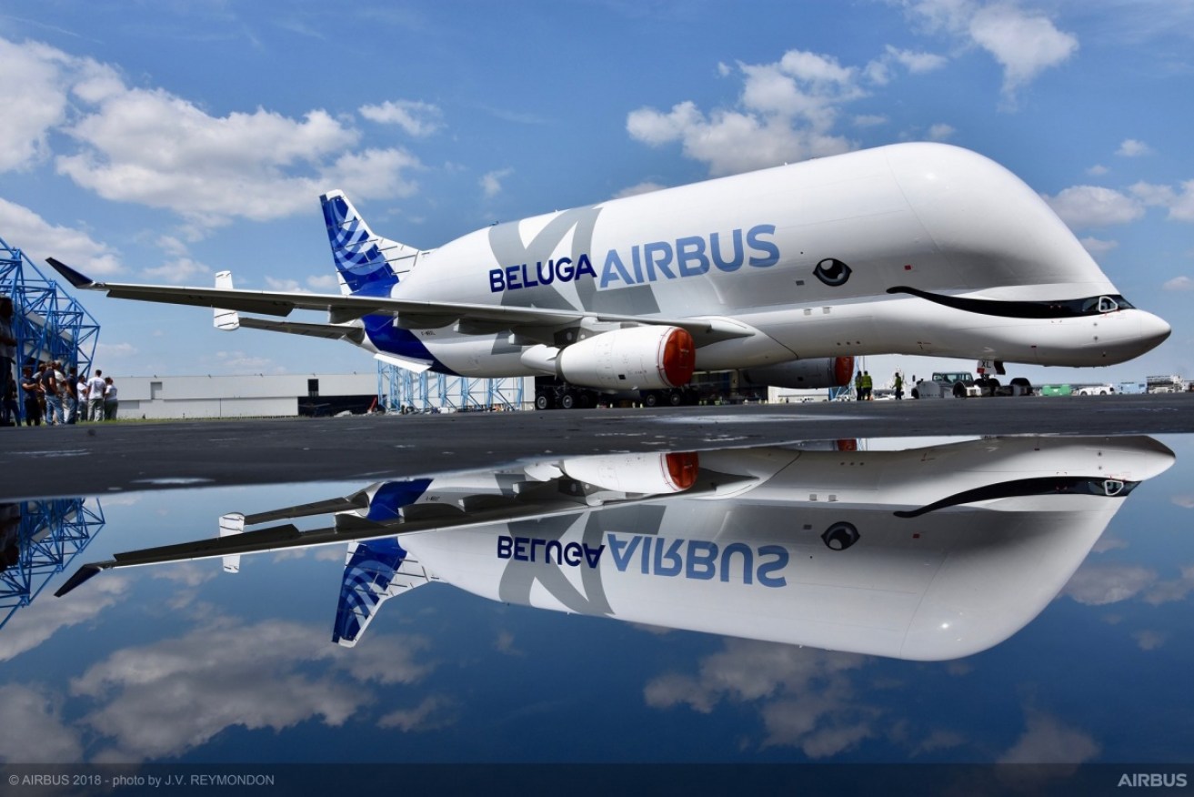 The Beluga XL was rolled out of the aircraft manufacturer's paint shop in Toulouse, France.
